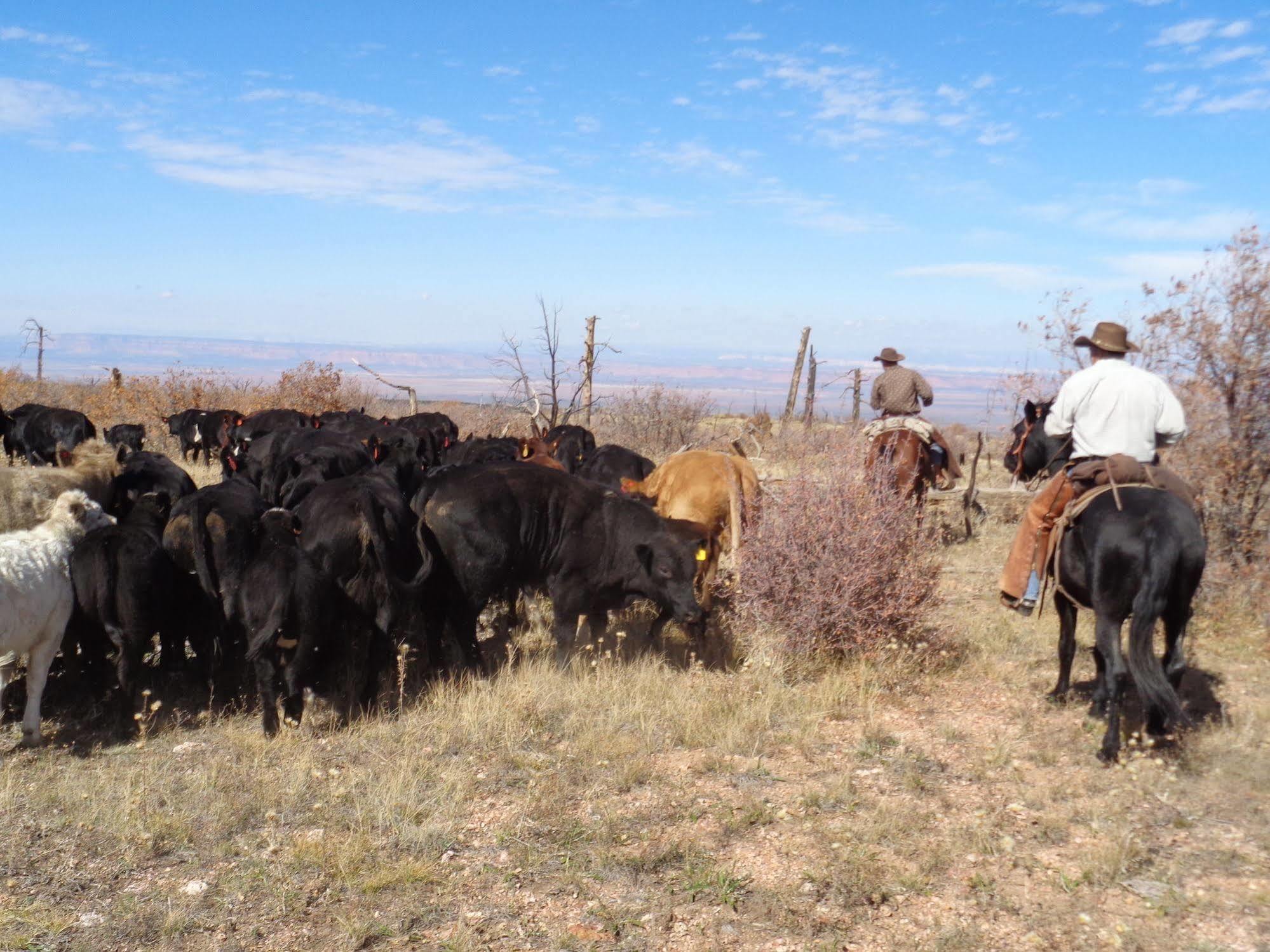 Grand Canyon Ranch & Outfitters Hotel Fredonia ภายนอก รูปภาพ