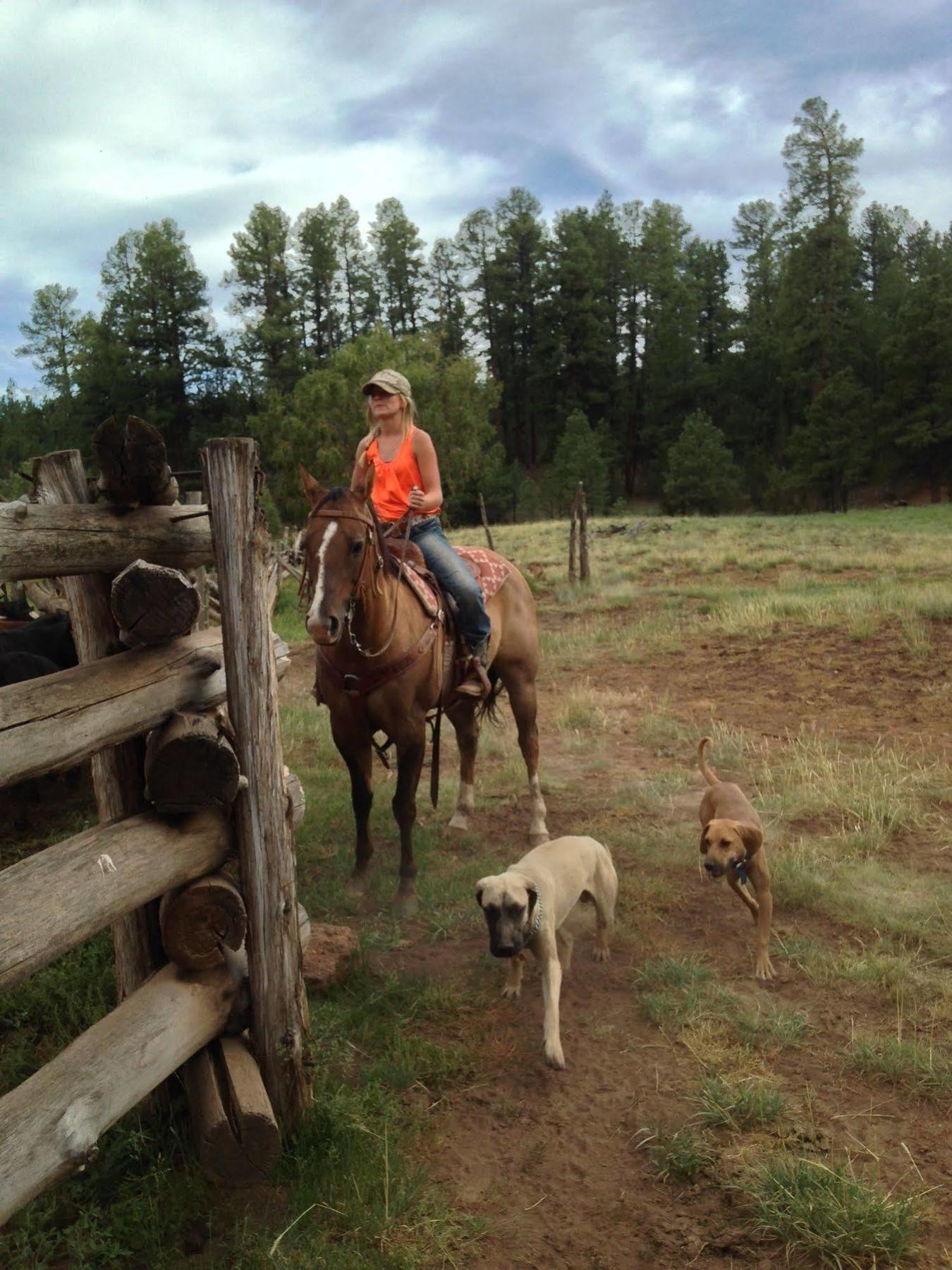 Grand Canyon Ranch & Outfitters Hotel Fredonia ภายนอก รูปภาพ