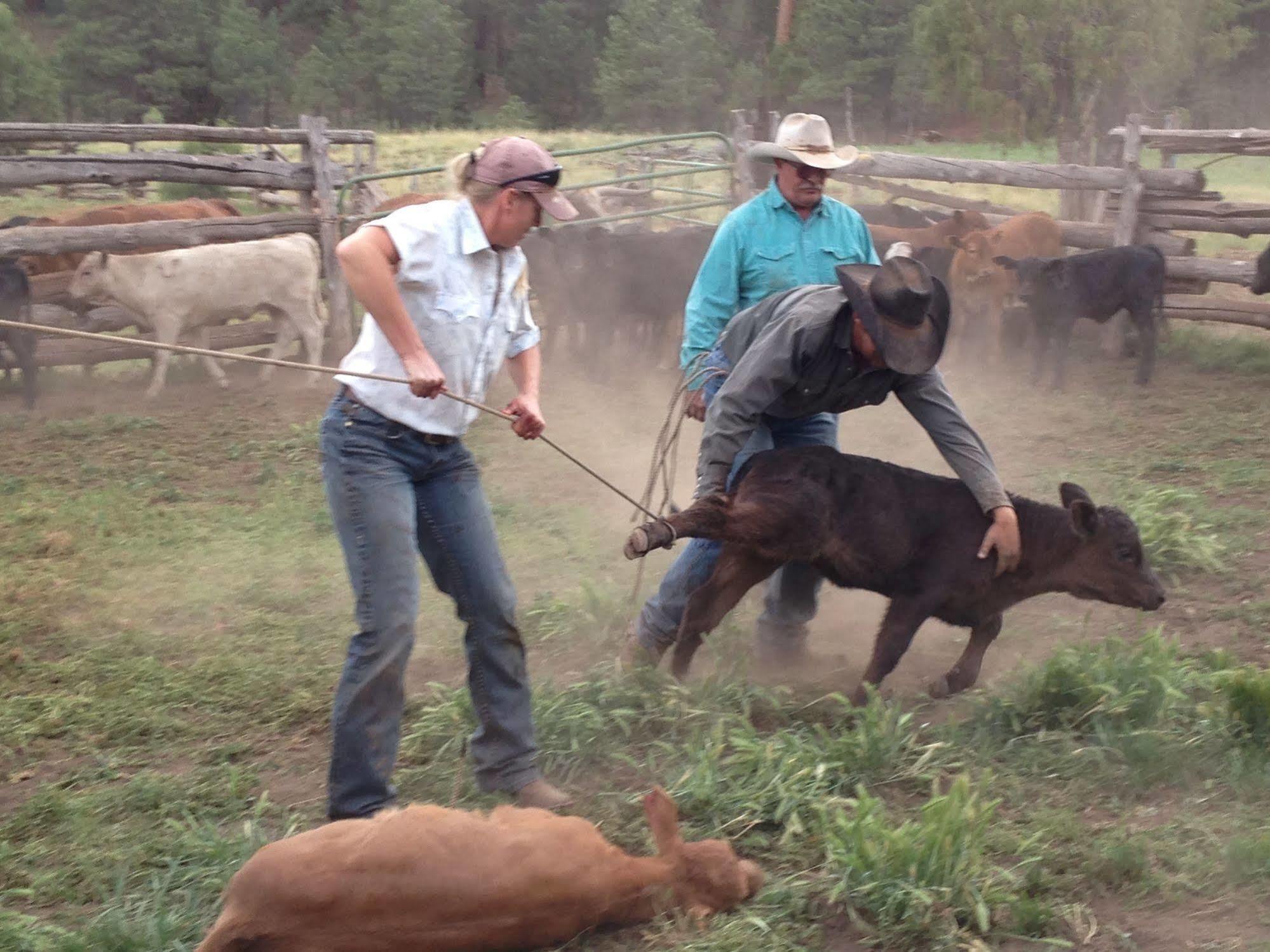 Grand Canyon Ranch & Outfitters Hotel Fredonia ภายนอก รูปภาพ